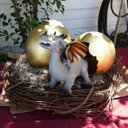 Erin Trout - @mrsctrout - Twitter