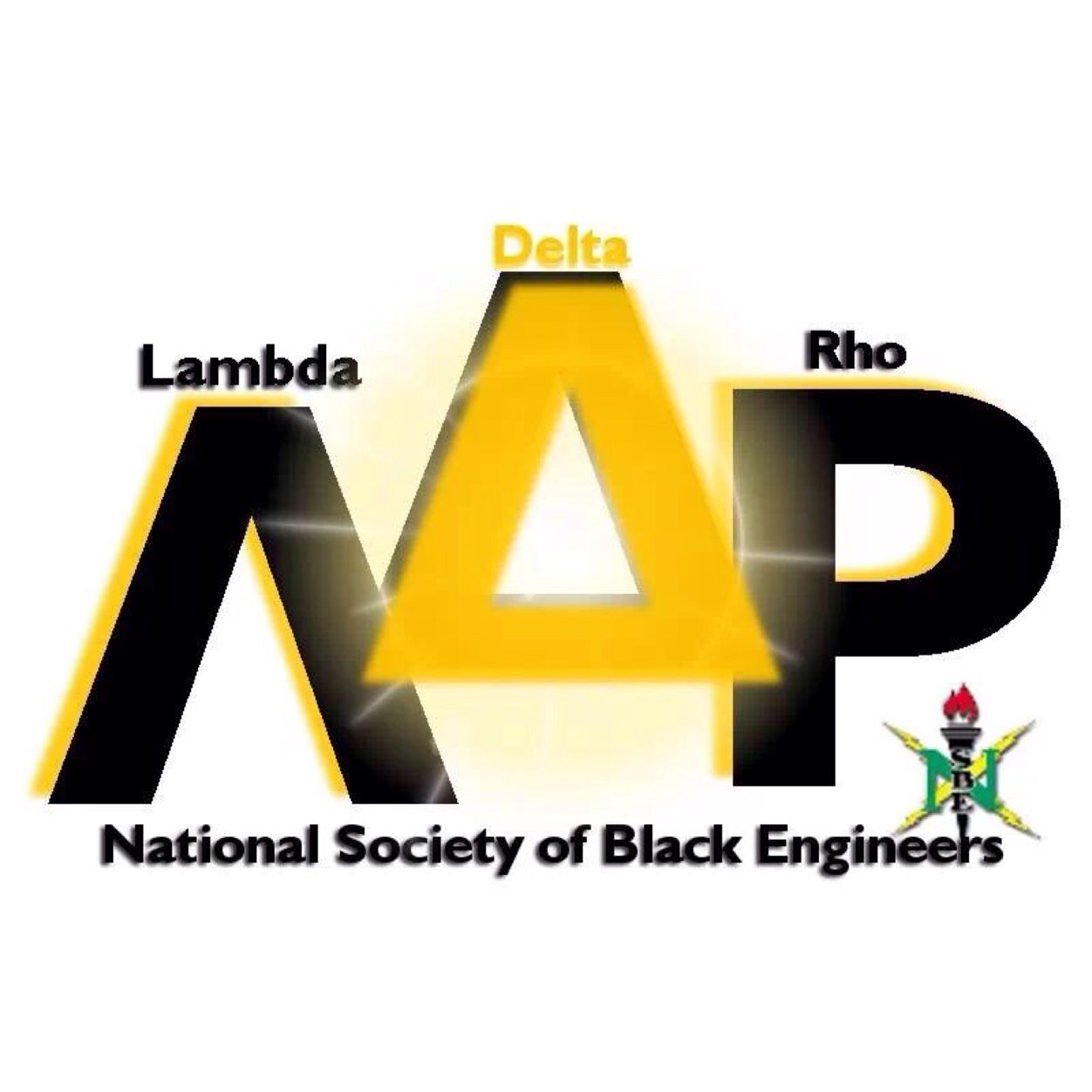 As a first year at Georgia Tech, Lambda Delta Rho is your hub for all things academic, professional, and social, emphasizing community but never isolation.