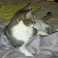 Val (@valpsych2007) 's Twitter Profile