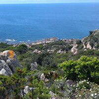 Roland_Cotte (@_roland63) 's Twitter Profile Photo