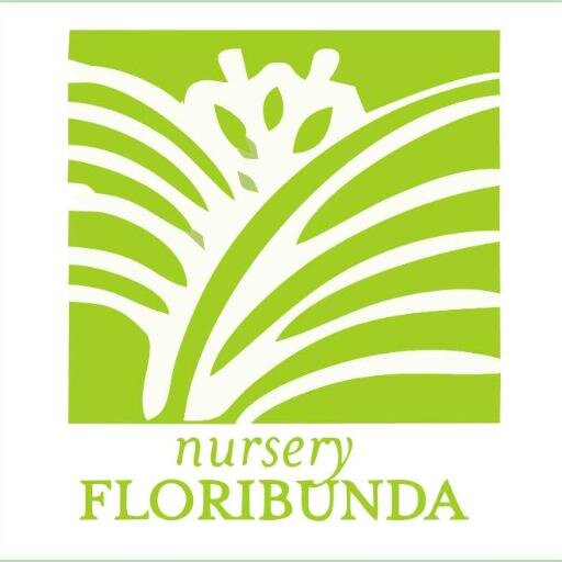 FloribundaID's profile picture. 