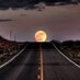 shadow2791 (@budwiserman) Twitter profile photo