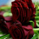 yasmen (@0990419890) Twitter