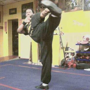 Martial Artist & writer.