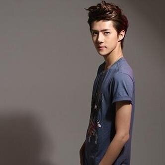 Oh sehun - 1994L | new owner