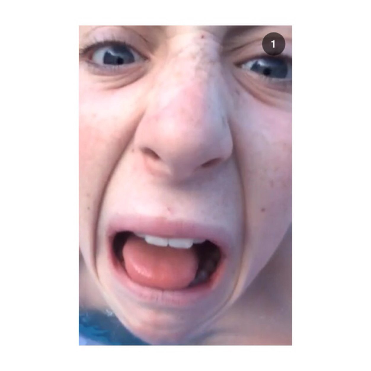 I love cats. || ThEy ArE tHe KiNgS || 0/6 || YOUTUBE || trevor Moran is my husband