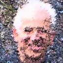 Predrag Petkovic - @Predrag13 - Twitter