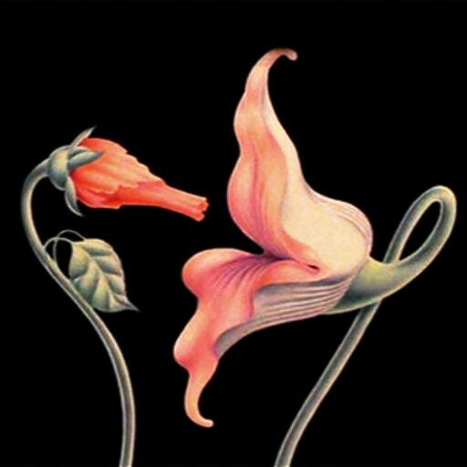 hadiiboustany's profile picture. One Love - University of Balamand