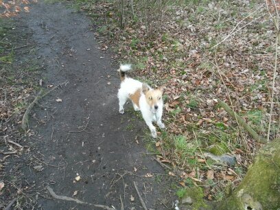 Andy6Dobo's profile picture. 