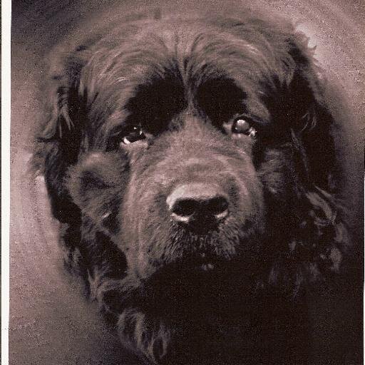 anniepiemontois's profile picture. avocat retraitée  ,LR SARKOZYSTE  
D.E.S Sciences criminelles 1965
 D.E.S Droit privé 1966