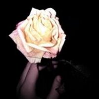 Makis (@msos) 's Twitter Profile