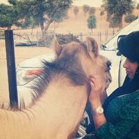 بنت لبريمي  (@sexsexxx1) Twitter profile photo