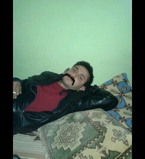 yilmaz123fur's profile picture. 