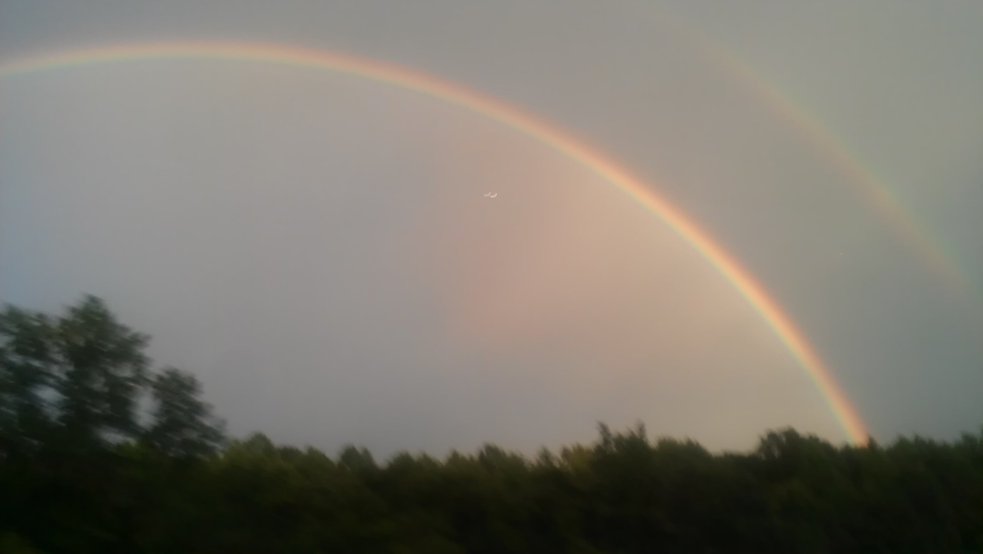 HaveASolution's profile picture. 