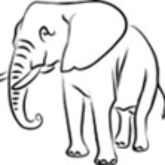 RallyAfrica's profile picture. 