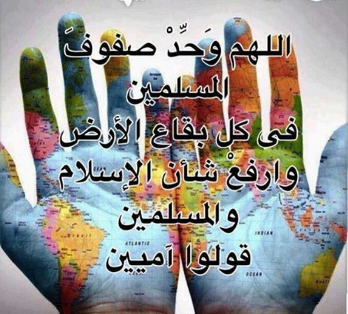 كاتب