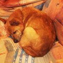 Dylan Andrew - @DylanJAndrew - Twitter