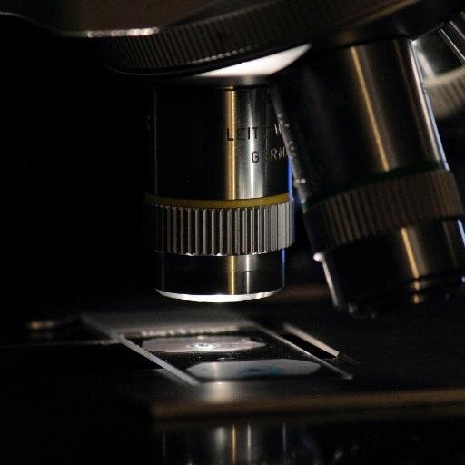Worker in molecular #biology, #DNAworker, #Genomic , #genetherapy , #retina