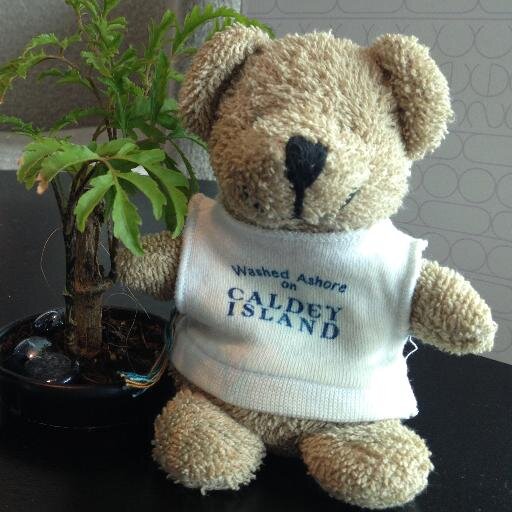 Started life on Caldey Island with the monks but now i'm a jet-setting bear with the fab family who found me. I tweet about life as a bear.
