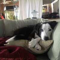 John The Grocer (@johnthegrocer) 's Twitter Profile