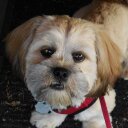 Dawn Ring - @Dasri3602 - Twitter