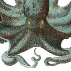 Marine conservation education