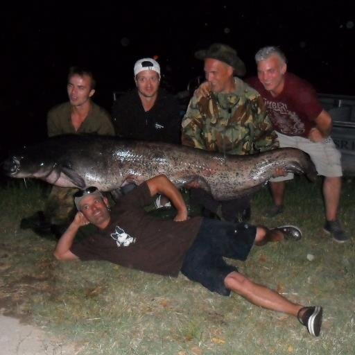 JonnyKipper's profile picture. 