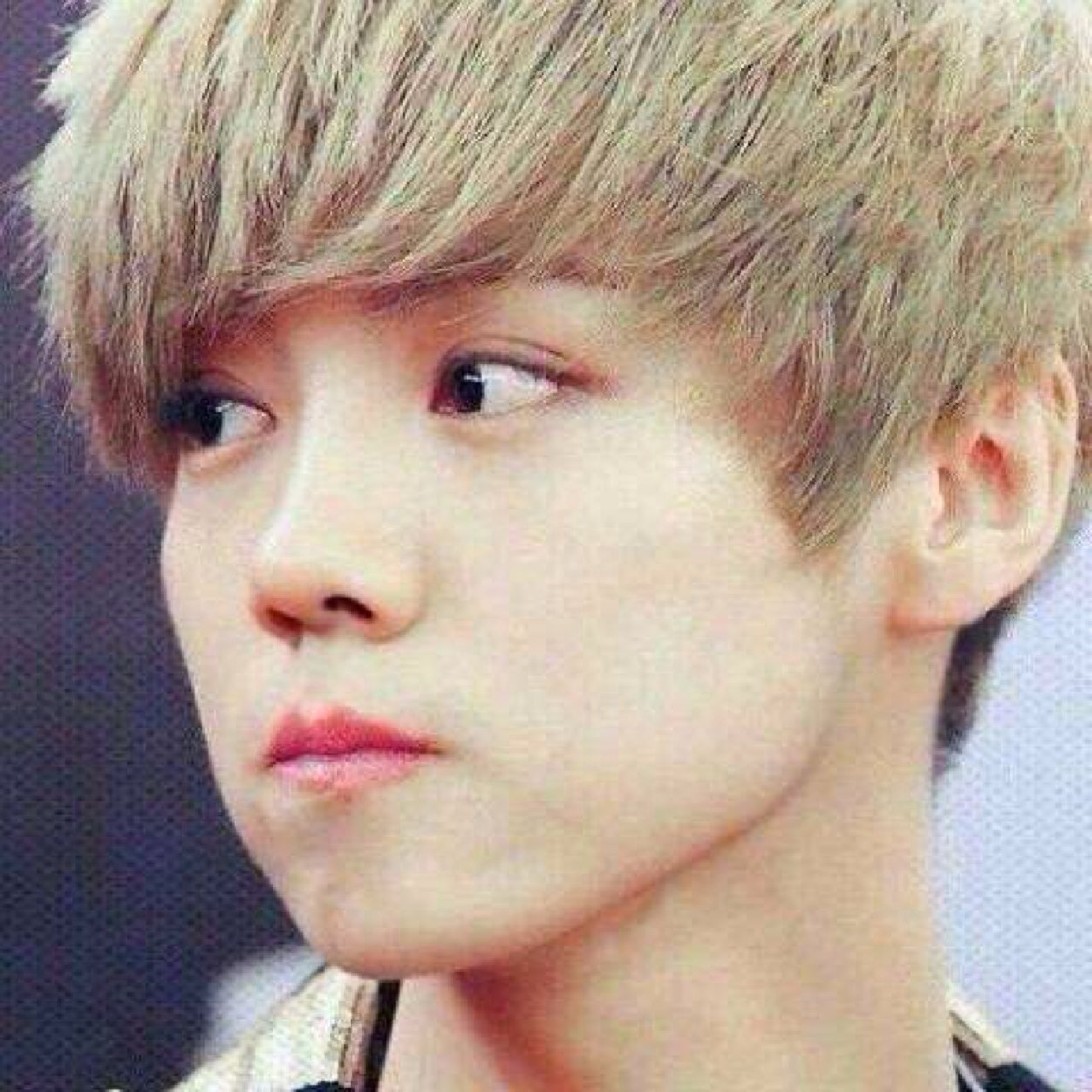 EXO-M LH(bot) 14.03.28〜 より本人様を好きになってな。