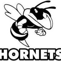Albany Hornets (@albanyhornets) 's Twitter Profile