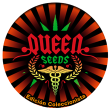 Queen Seeds est une banque de graines féminisées & autofloraisons Espagnole née après 25 ans de passion pour la culture de cannabis sous toutes ses formes..