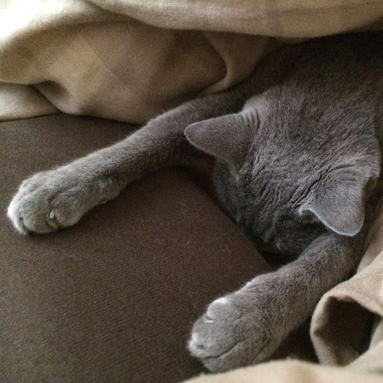 ゆうな 二子玉川のロンハーマンの女子 スタッフって何であんな感じ悪いん 二人の横通ってんのにおしゃべり止めないうえに いらっしゃいませもありがとうございましたもなし 何度行ってもいいイメージが全くない