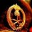 aa_hasona's profile image