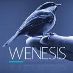 Wenesis1's profile picture. Wenesis est une société d'éditions,de conseils et services informatiques en technologie de l'information. Dévellopement d'application, Conception Web, B.I. ,...