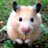 KataMamake's profile image