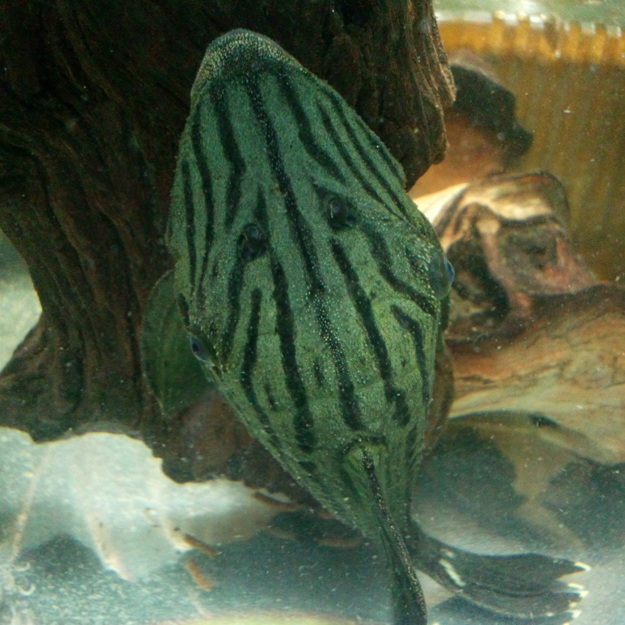 cbm29693's profile picture. 