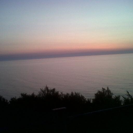 QuintarelliV's profile picture. 