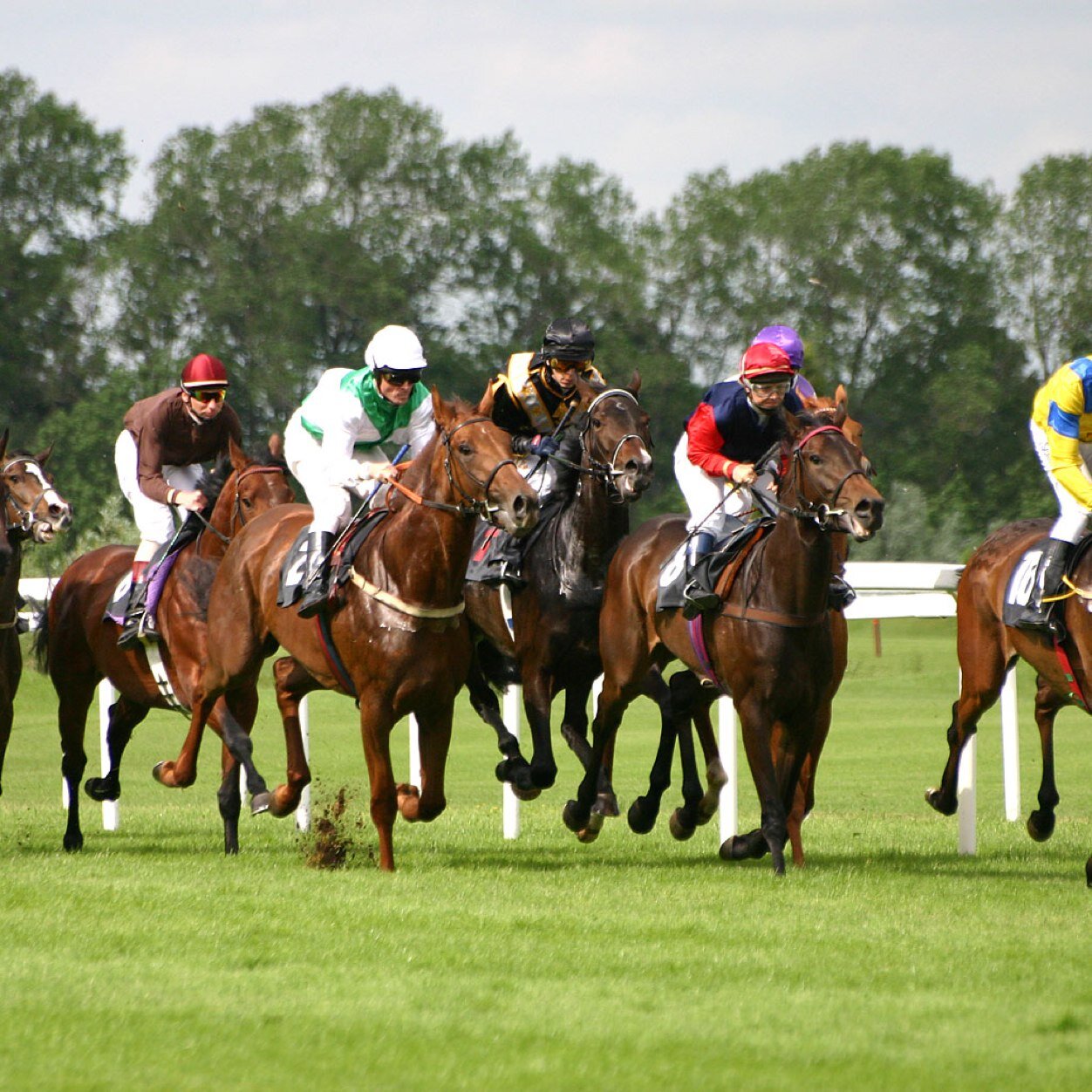 Top Horse Racing Tips, stuck for a tip?Tweet us @racingtips100 
Let us know your opinions and views on our tips too!