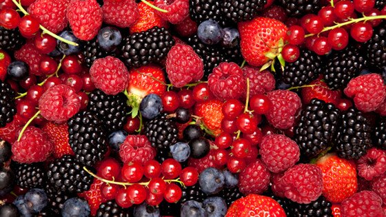 healthyno1's profile picture. Giving you the best of health