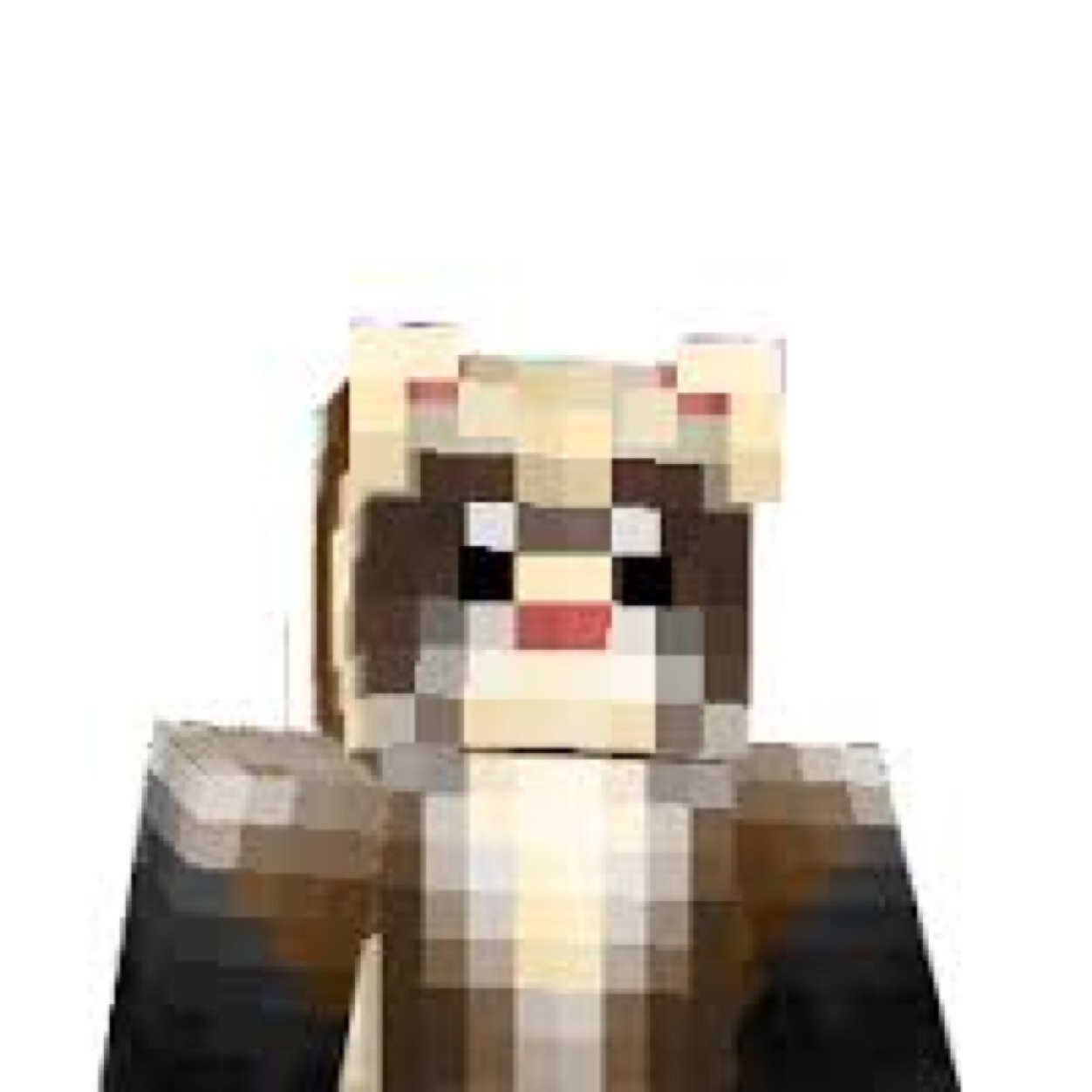 Minecraft name: Youngs. Coordinator for Realm of Kings. I build in all the cities. That's the goal anyway.