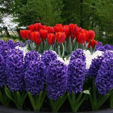 Akcahan's profile picture. Kuşlar uçuyor, ömür geçiyor...