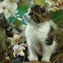 صلوحه (@0126547) Twitter