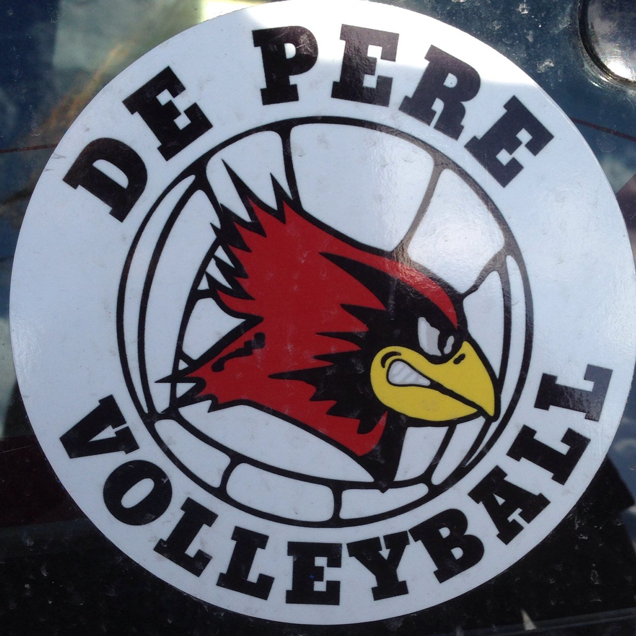 2014 De Pere Volleyball Program
