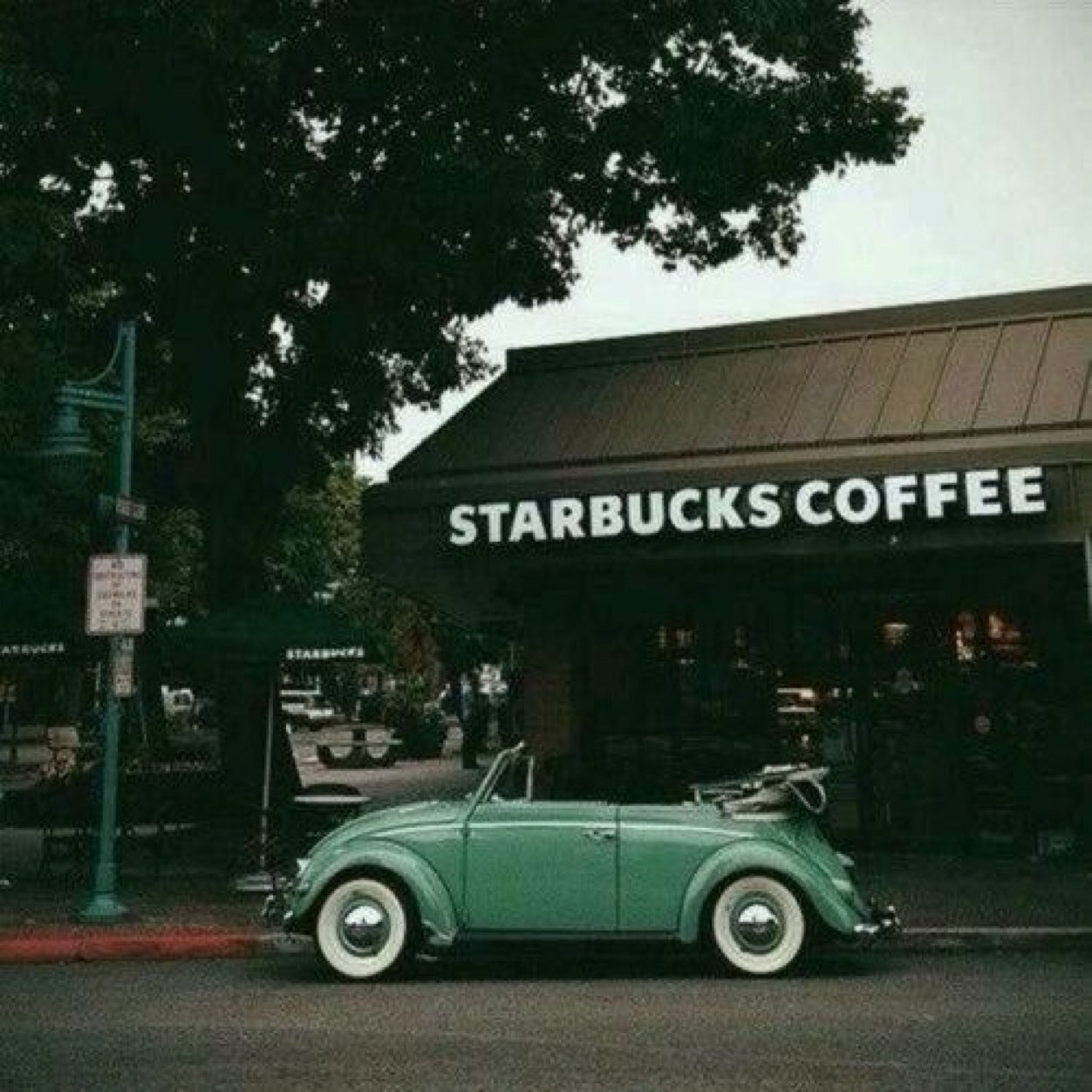 mooniz_'s profile picture. I love poetry, literature and writing. I write to live, and I have a dream I love classical