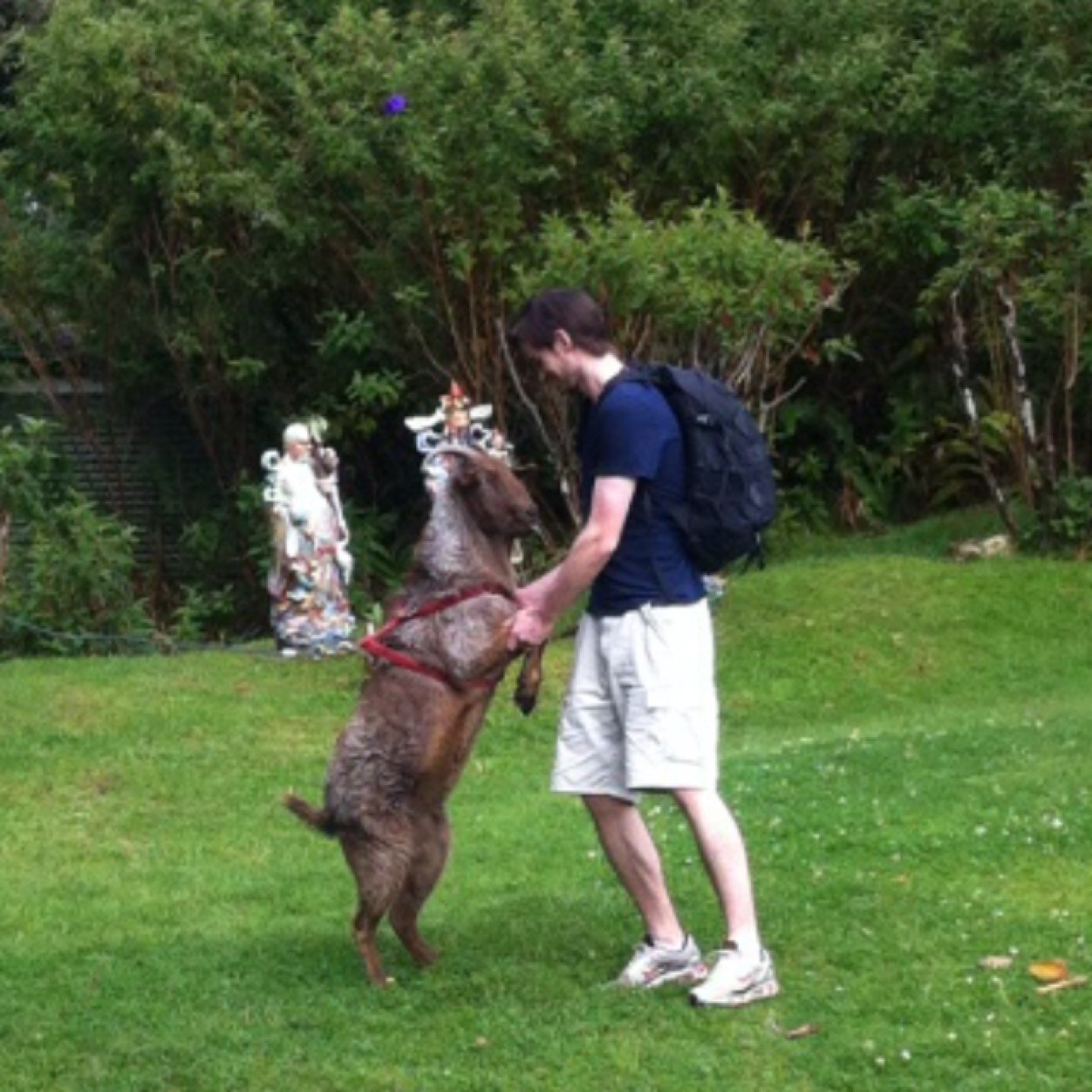 Bry_Fitz's profile picture. 