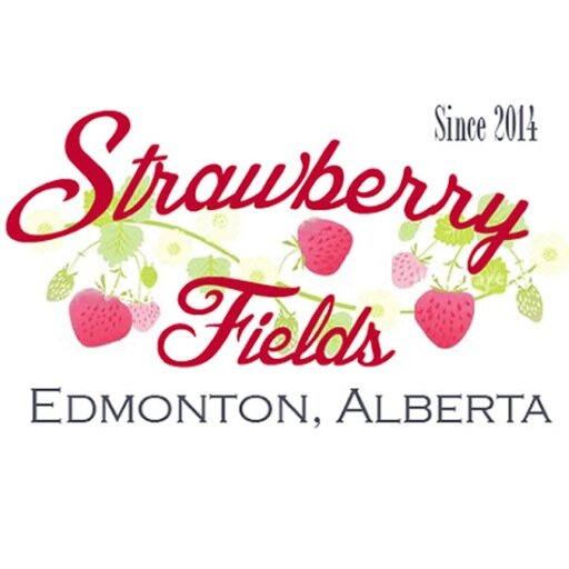 StrawberryUPick's profile picture. Growing strawberries since 2014