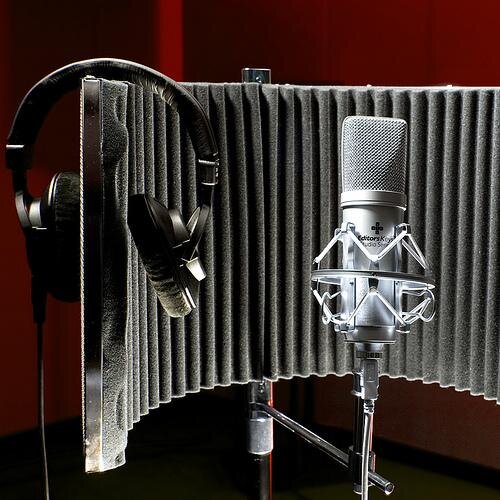 Voice Guy!!Radio?/TV Commercials, DJ Drops etc. DC-DETROIT-ATLANTA-CHARLOTTE-HOUSTON PRODUCTION ASSASSIN! . Contact, carovoice@gmail.com