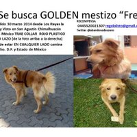 ZeroAbandonados (@abandonadoszero) 's Twitter Profile