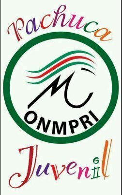 ONMPRIJUVENILPA's profile picture. El Onmpri juvenil pachuca es una organización política que ve por la equidad, igualdad y derechos de las mujeres. Porque somos mujeres y somos revolucionarias.
