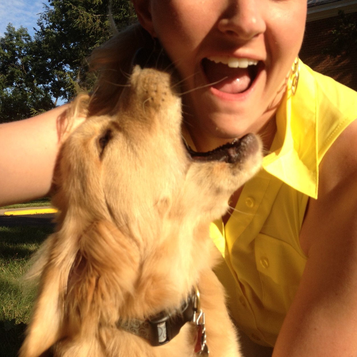 Dog mom, nonprofit worker, sorta-photographer, nature and animal enthusiast, tap-dancer, theater geek.