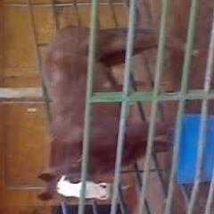 richardsoninc23's profile picture. I am a Red Neck, Back Woods, I love hunting, fishing, horse back riding. Girl.